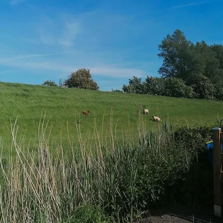 Ferienhaus Lütte Hütte Hennstedt (Dithmarschen)